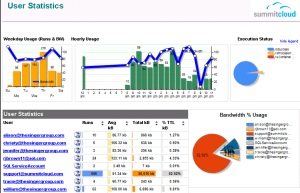 Reporting Services Management Reports - Report Execution Detail