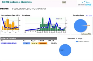 Reporting Services Management Reports - Report Execution Detail